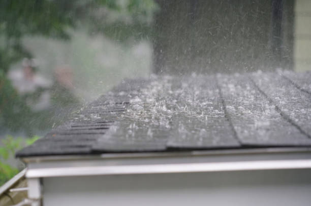 Best Skylight Installation and Repair  in Pike Creek Valley, DE
