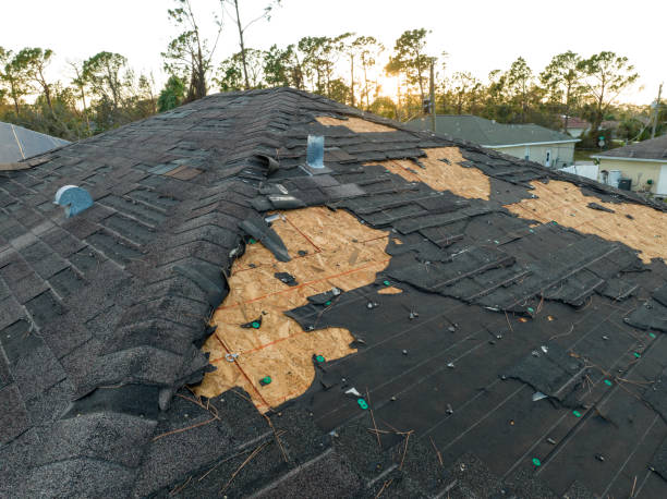 Best Rubber Roofing (EPDM, TPO)  in Pike Creek Valley, DE
