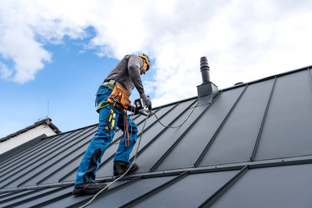 Best Roof Maintenance and Cleaning  in Pike Creek Valley, DE