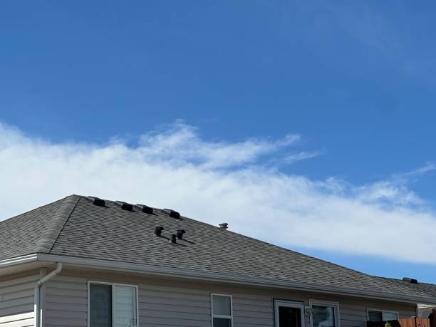 Best Gutter Installation and Repair  in Pike Creek Valley, DE